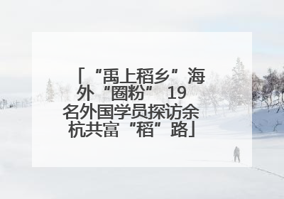 “禹上稻乡”海外“圈粉” 19名外国学员探访余杭共富“稻”路